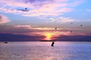 Sunrise Sky Sea Ocean Horizon  - Olga_Fedoseeva / Pixabay